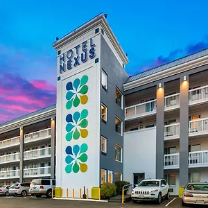 Hotel Nexus; Bw Signature Collection